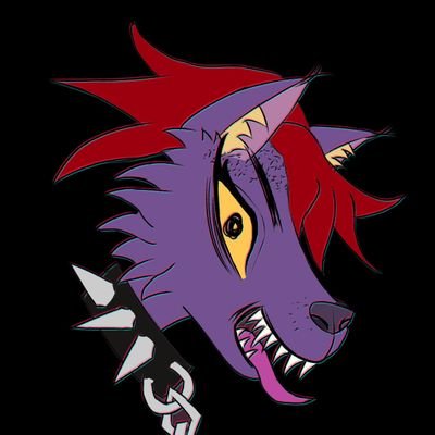 Purple wolf with red hair and spiked collar